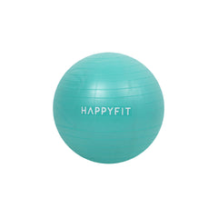 Happyfit Gym Ball 55 CM